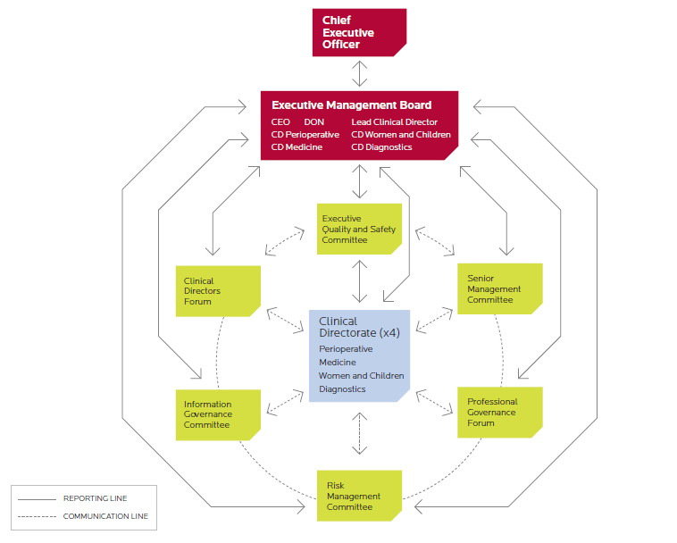 governance model